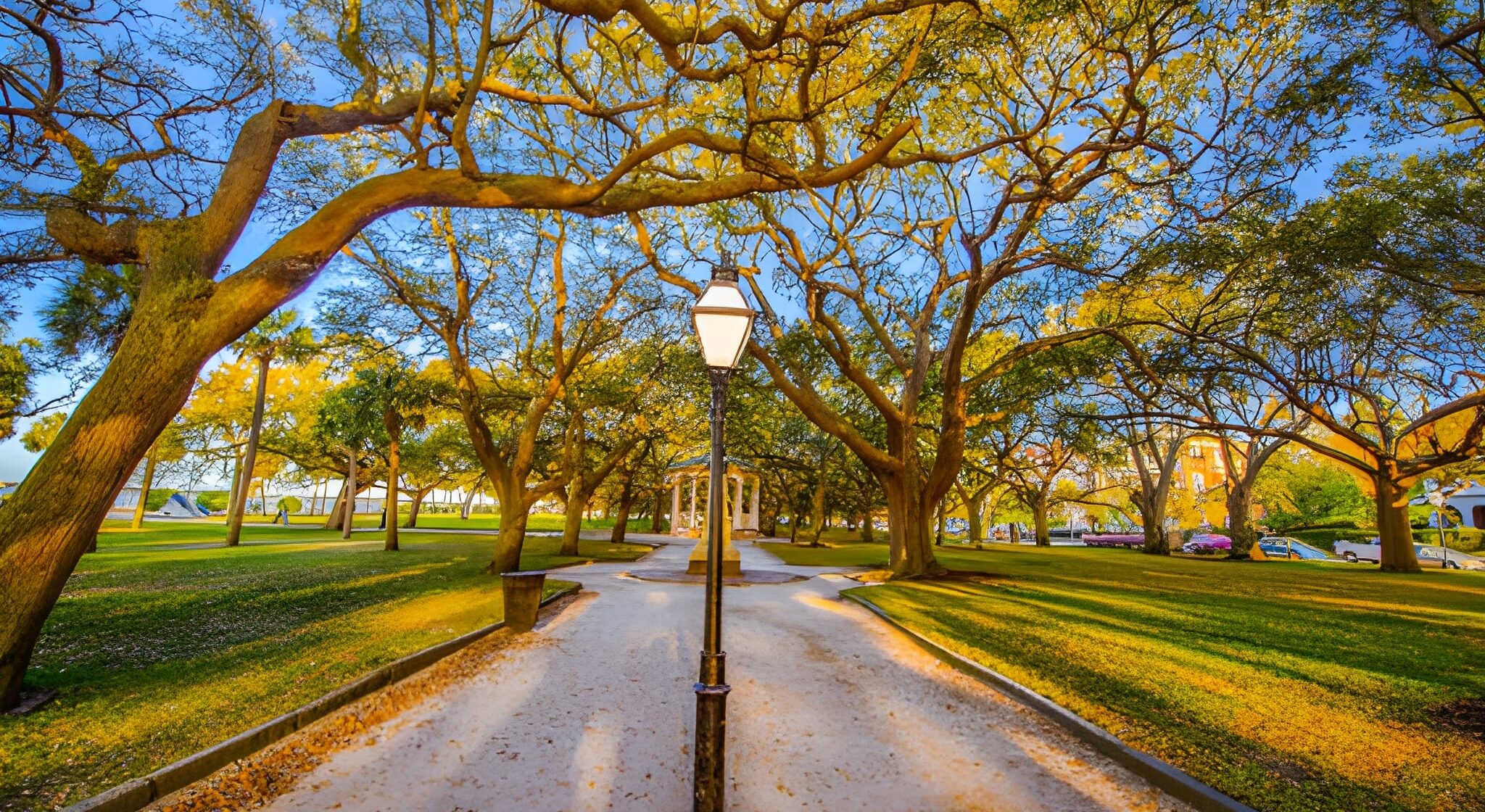 Johns Island Limo Service | Luxury Transport